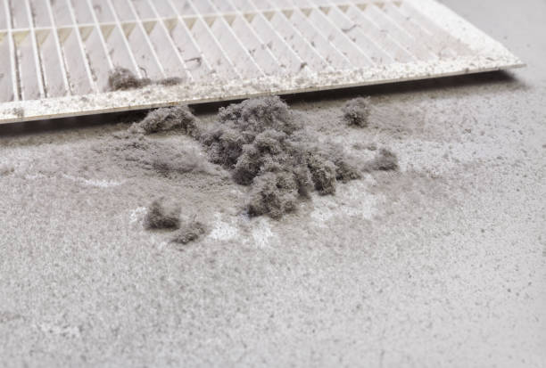 Best Ductwork Cleaning Services  in South Padre Island, TX